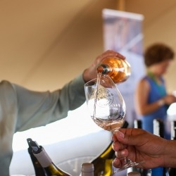 Garcias-Trade-Summit-Vinho-MV-32