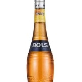 Garcias - Vinhos e Bebidas Espirituosas - LICOR BOLS HONEY 1 Thumb