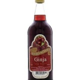 Garcias - Vinhos e Bebidas Espirituosas - GINJA C/FRUTO ALBERGARIA 1 Thumb