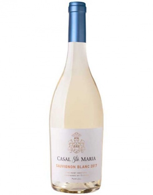 Garcias - Vinhos e Bebidas Espirituosas - VINHO CASAL SANTA MARIA SAUVIGNON BRANCO 1