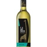 Garcias - Vinhos e Bebidas Espirituosas - VINHO TALL HORSE MOSCATO BRANCO 2019 1 Thumb