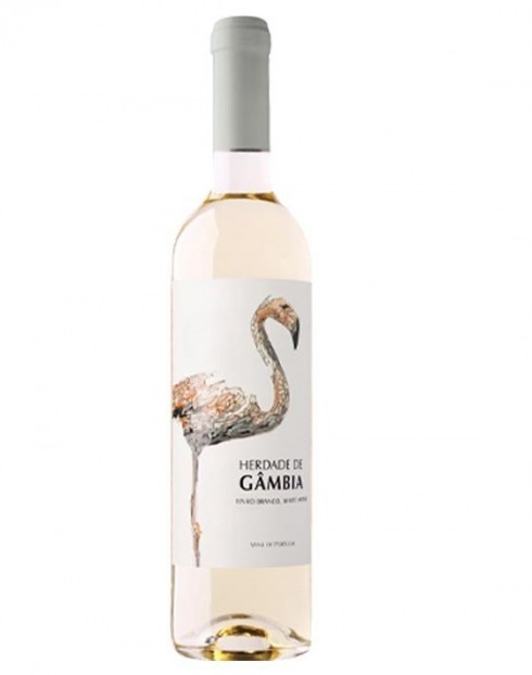 Garcias - Vinhos e Bebidas Espirituosas - VINHO HERDADE DA GÂMBIA BRANCO 2021 1