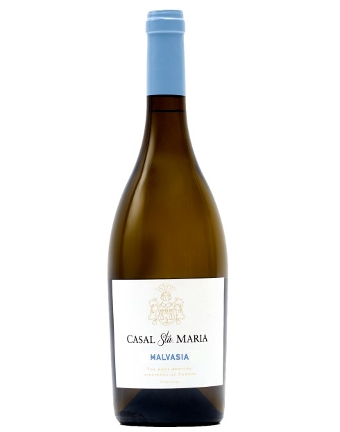 Garcias - Vinhos e Bebidas Espirituosas - VINHO CASAL SANTA MARIA MALVASIA BRANCO 2022 1