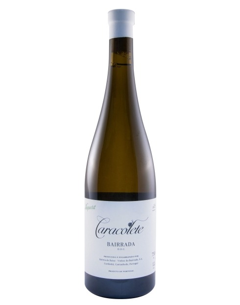 Garcias - Vinhos e Bebidas Espirituosas - VINHO QUINTA DE BAIXO CARACOLETE (NIEPOORT) BRANCO 1