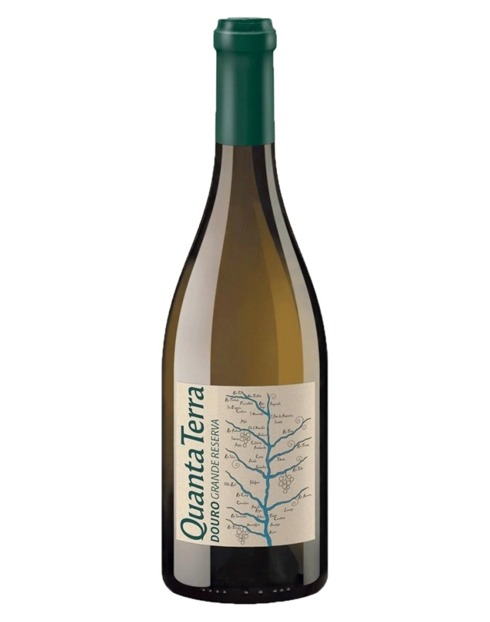 Garcias - Vinhos e Bebidas Espirituosas - VINHO QUANTA TERRA GRANDE RESERVA BRANCO 2020 1