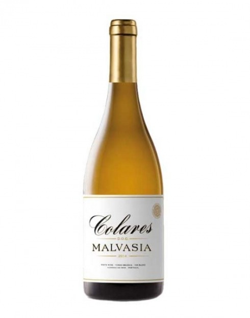 Garcias - Vinhos e Bebidas Espirituosas - VINHO COLARES MALVASIA BRANCO 2017 1