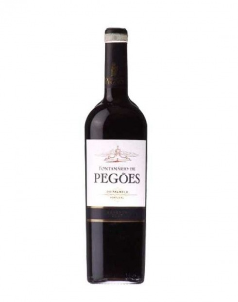 Garcias - Vinhos e Bebidas Espirituosas - VINHO FONTANARIO PEGÕES RESERVA TINTO 2002 1