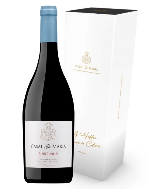 Garcias - Vinhos e Bebidas Espirituosas - VINHO CASAL SANTA MARIA PINOT NOIR MAGNUM 1