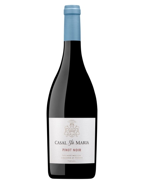 Garcias - Vinhos e Bebidas Espirituosas - VINHO CASAL SANTA MARIA PINOT NOIR 2021 1