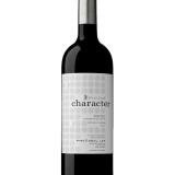 Garcias - Vinhos e Bebidas Espirituosas - VINHO PINTAS CHARACTER DOURO TINTO 2022 1 Thumb