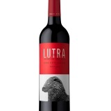 Garcias - Vinhos e Bebidas Espirituosas - VINHO ALORNA LUTRA TINTO 2021 1 Thumb